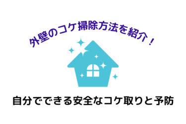 外壁のコケ掃除方法を紹介！自分でできる安全なコケ取りと予防の秘訣